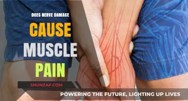 Nerve Damage and Muscle Pain: What's the Link?