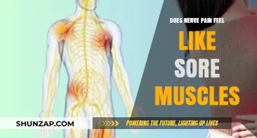 Nerve Pain vs. Sore Muscles: Understanding the Key Differences