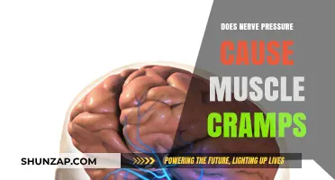 Nerve Pressure: The Cause of Muscle Cramps?