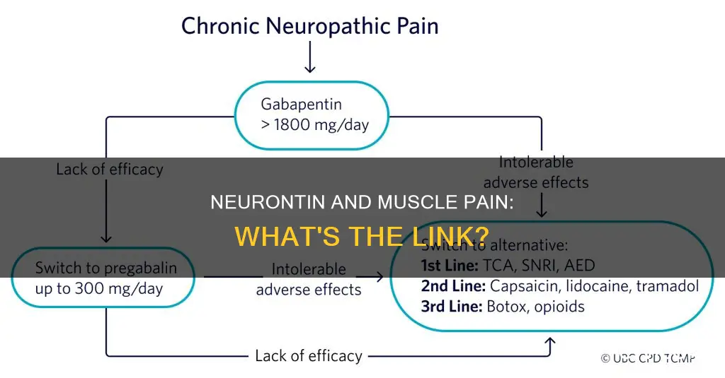 does neurontin cause muscle pain