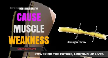 Neuropathy and Muscle Weakness: What's the Connection?