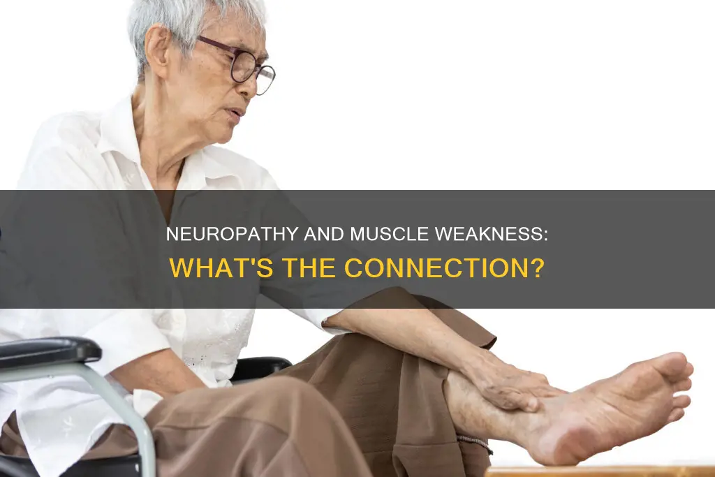 does neuropathy cause muscle weakness
