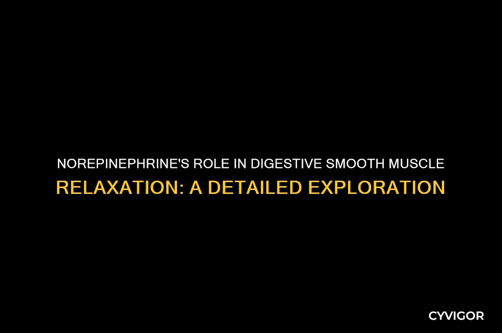 does neurotransmitter norepi affect digestive smooth muscle relaxation