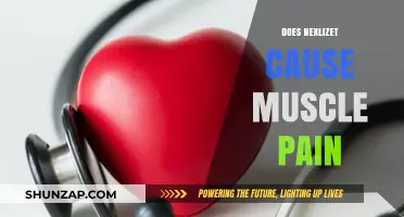 Nexlizet: Understanding Muscle Pain as a Side Effect