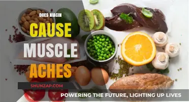 Niacin Intake: Understanding the Link to Muscle Aches