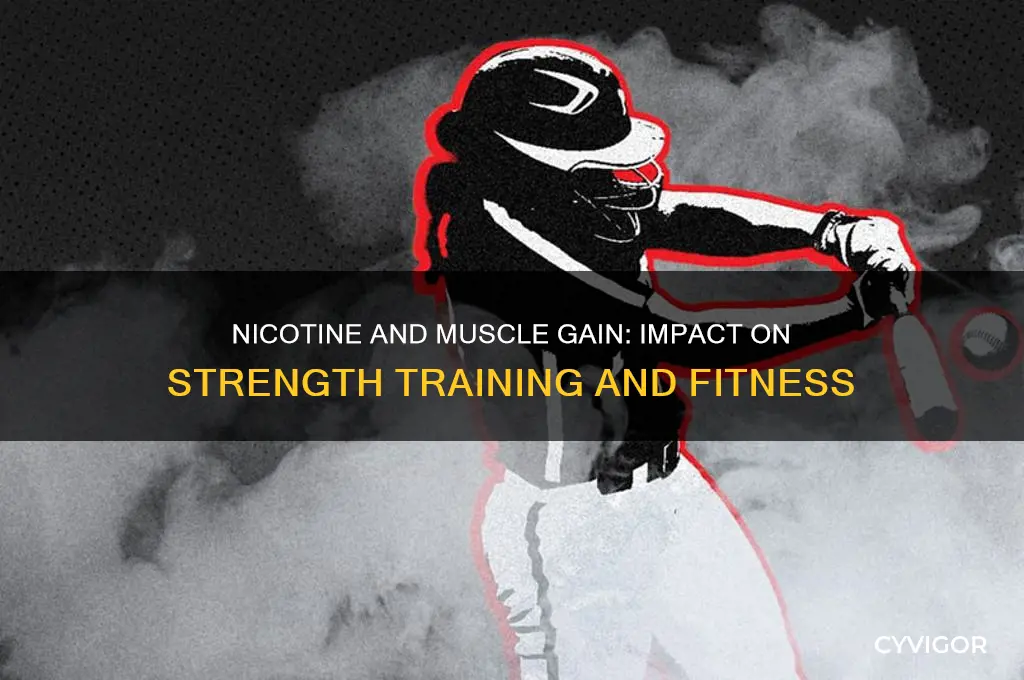 does nicotine affect gaining muscle