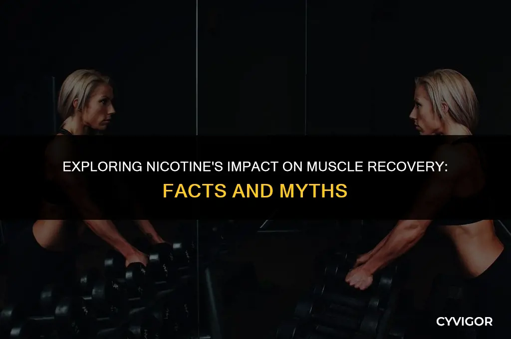 does nicotine affect muscle recovery