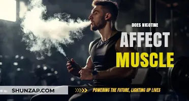 Exploring Nicotine's Impact on Muscle Function and Health