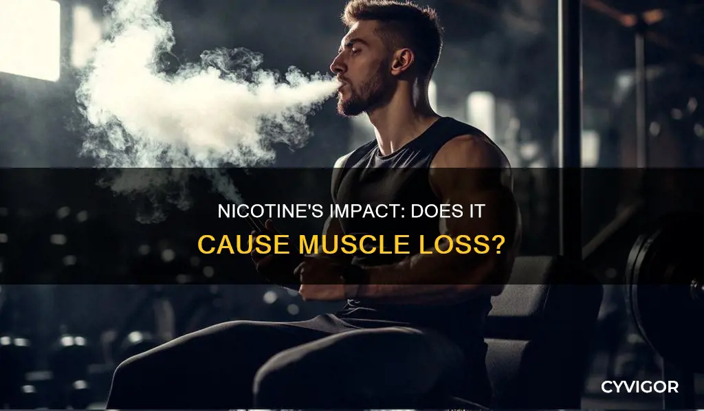 does nicotine cause muscle loss