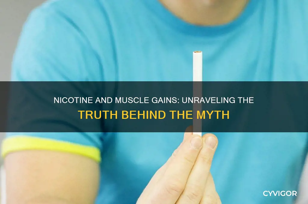 does nicotine kill muscle gains