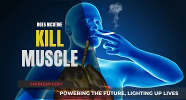 Nicotine's Impact: Friend or Foe to Muscle Growth?