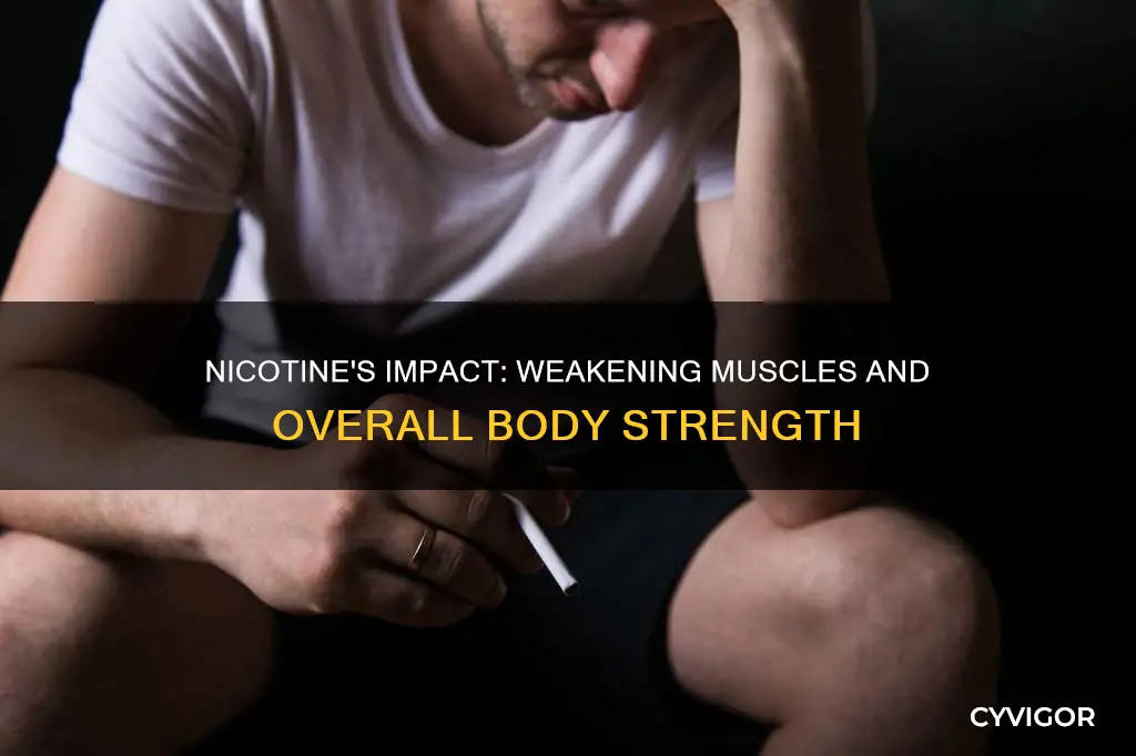 does nicotine weaken muscles