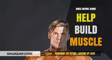 Unlocking Muscle Growth: The Role of Nitric Oxide in Fitness