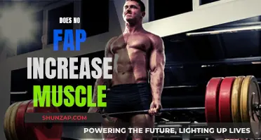 NoFap and Muscle Gain: Is There a Link?