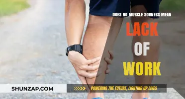 No Muscle Soreness: Does It Indicate Inadequate Workout Intensity?