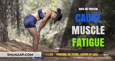 Protein Deficiency: Understanding Its Impact on Muscle Fatigue