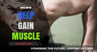 Nofap and Muscle Growth: Unlocking Physical Potential Through Self-Control