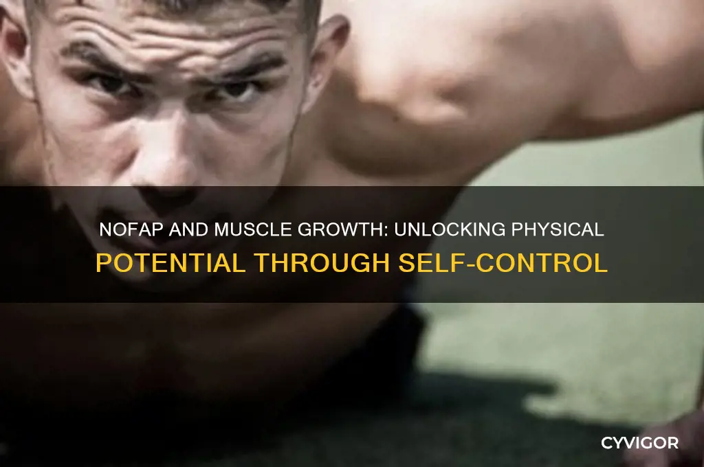 does nofap help gain muscle