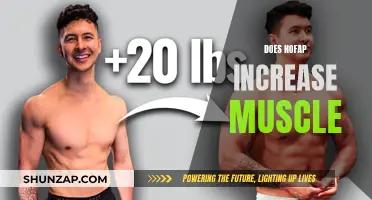 Nofap and Muscle Gain: Is There a Link?