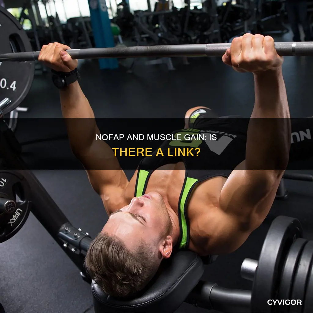 does nofap increase muscle