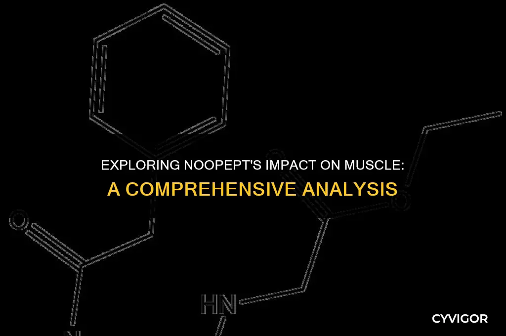 does noopept affect muscle