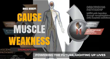 Norepinephrine and Muscle Weakness: What's the Link?