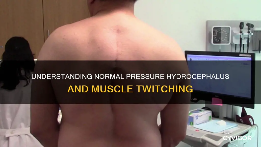does normal pressure hydrocephalus cause twitching muscles