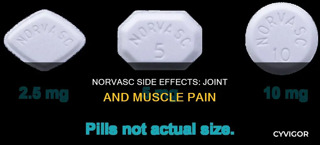 does norvasc cause joint muscle pain