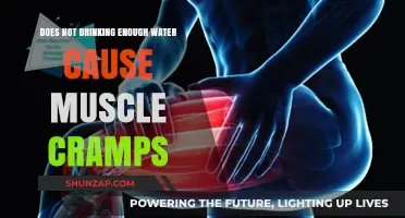 Stay Hydrated: Prevent Muscle Cramps by Drinking Water