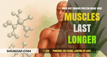 Protein Deficiency: How It Prolongs Muscle Soreness and Recovery Time