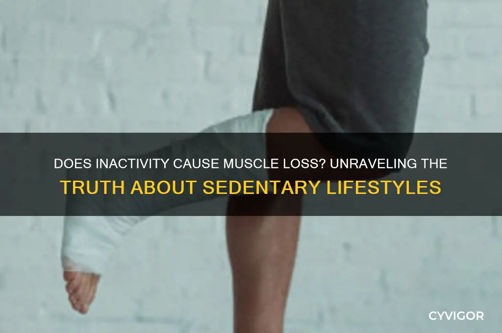 does not working out make you lose muscle