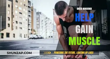 Does Nugenix Help Gain Muscle? Unveiling the Truth for Fitness Enthusiasts