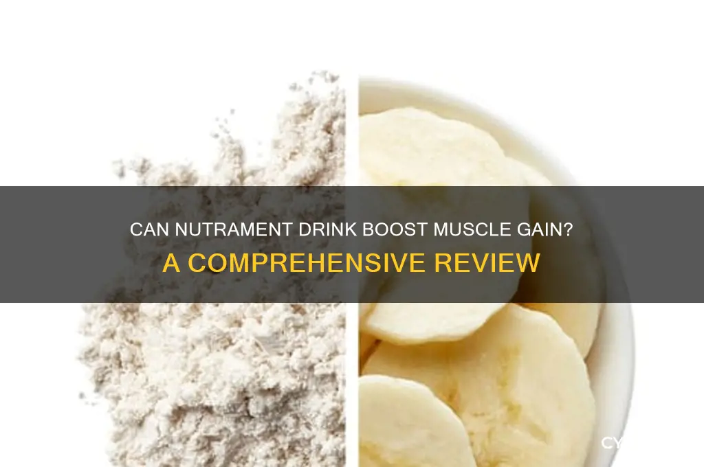 does nutrament drink help gain muscle