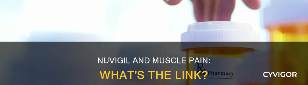 does nuvigil cause muscle pain