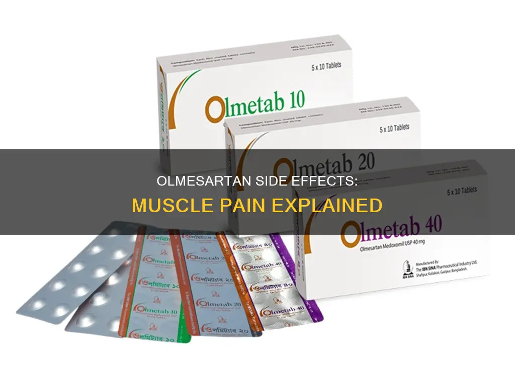 does olmesartan cause muscle pain
