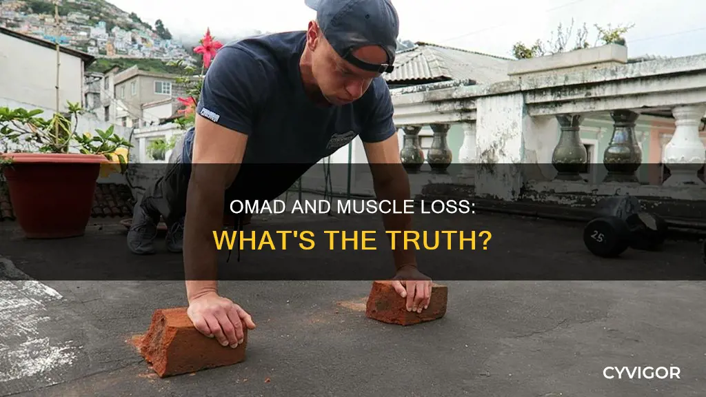 does omad cause muscle loss