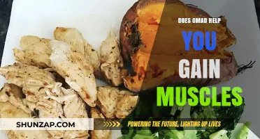 OMAD and Muscle Gain: Does One Meal a Day Build Strength?