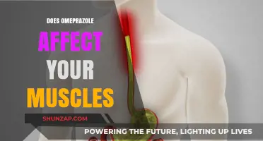 Exploring the Impact of Omeprazole on Muscle Health