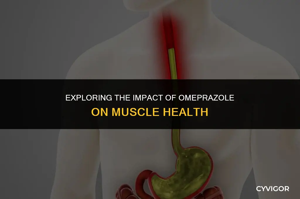does omeprazole affect your muscles