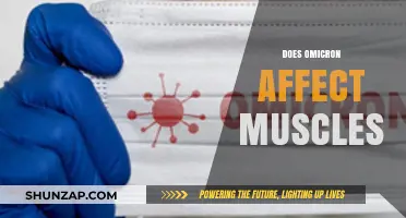 Unraveling the Mysteries: Omicron's Impact on Muscle Health Explored