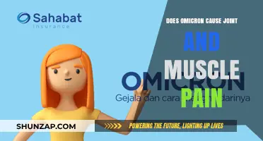 Omicron Symptoms: Joint and Muscle Pain Explained