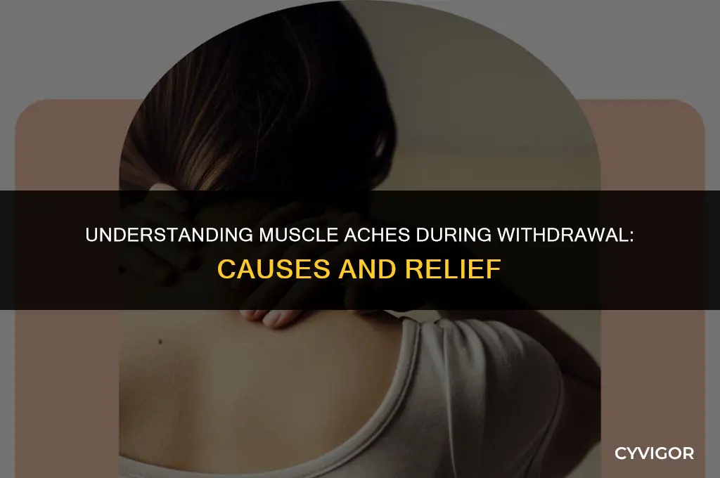 does one get muscle aches from withdrawal