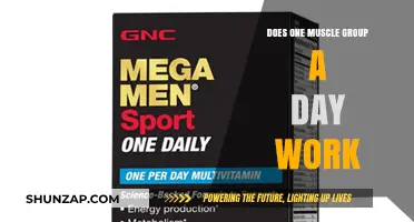 Is Training One Muscle Group Daily Effective for Strength and Growth?