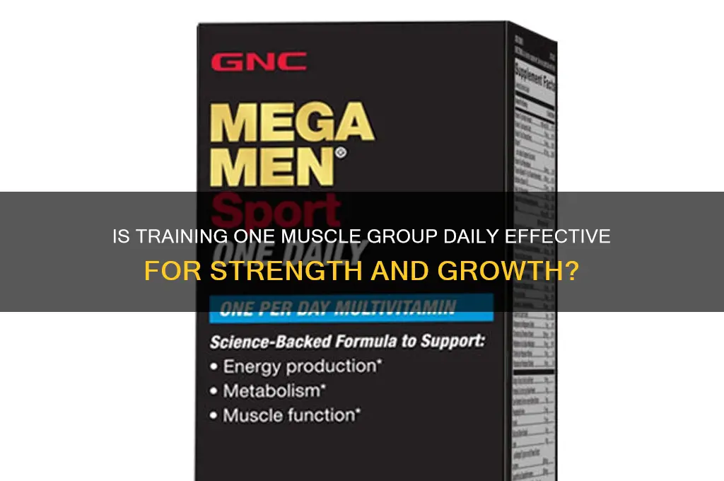does one muscle group a day work