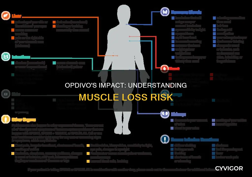 does opdivo cause muscle loss