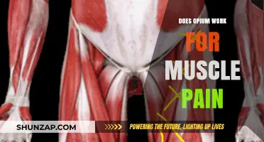 Opium for Muscle Pain: Effective Relief or Risky Remedy?