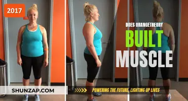 Building Muscle with Orangetheory: What You Need to Know