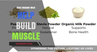 Does Organic Milk Help Build Muscle?