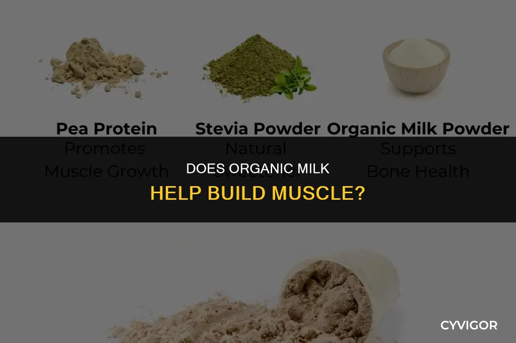 does organic milk help build muscle