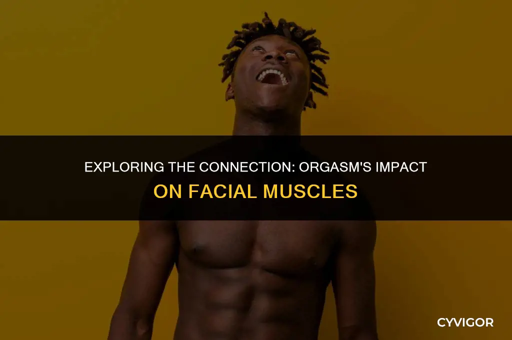 does orgasm affect facial muscles